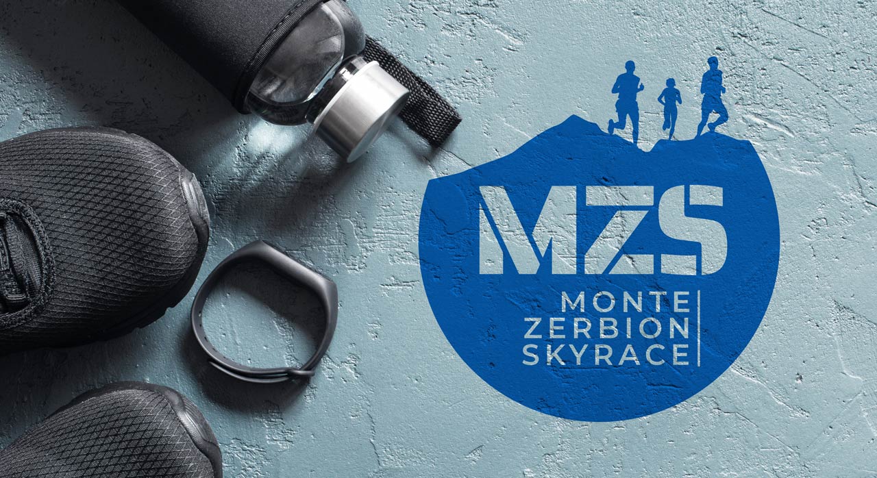 Logo MZS